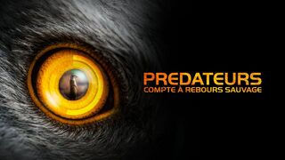 Prédateurs : compte à rebours sauvage