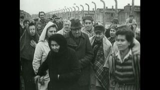 Nous étions des combattants