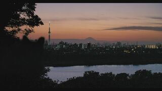 Japon, un nouveau monde sauvage