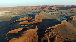 La science des forces de la nature