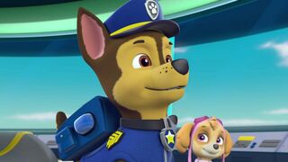 La Pat Patrouille - SAISON 4