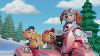 Paw Patrol, la Pat'Patrouille - SAISON 11
