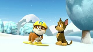 Paw Patrol, la Pat'Patrouille - SAISON 1