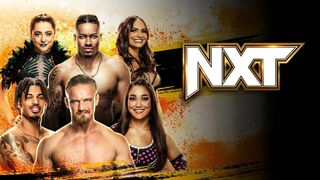 Catch américain NXT