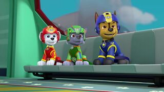 La Pat Patrouille - SAISON 4