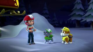 Paw Patrol, la Pat'Patrouille - SAISON 1