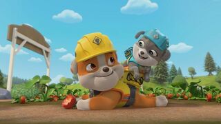 Ruben & Cie - SAISON 1