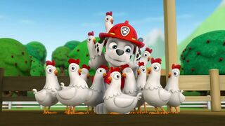 Paw Patrol, la Pat'Patrouille - SAISON 1
