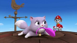 Paw Patrol, la Pat'Patrouille - SAISON 1