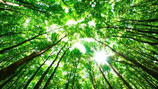 Au bout c'est la mer