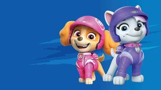 Paw Patrol, la Pat'Patrouille - SAISON 10