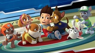 Paw Patrol, la Pat'Patrouille - SAISON 10