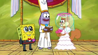 Bob l'éponge - SAISON 6