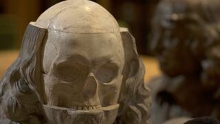 L'histoire au scalpel