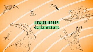 Les athlètes de la nature