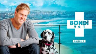 Le vétérinaire de Bondi Beach