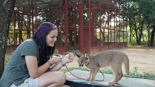 Refuges pour animaux sauvages