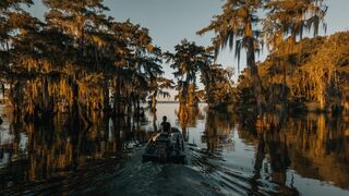Lizzie Daly, les profondeurs d'Amérique du Nord