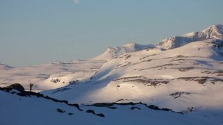 Vincent Munier, éternel émerveillé
