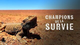 Champion de la survie