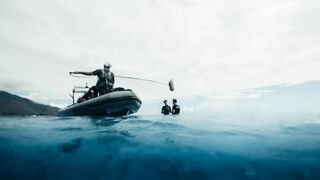 Les sentinelles de l'océan