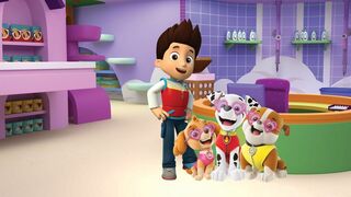 Paw Patrol, la Pat'Patrouille - SAISON 1
