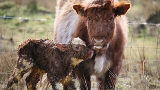 Apprendre les règles
