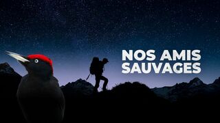 Nos amis sauvages