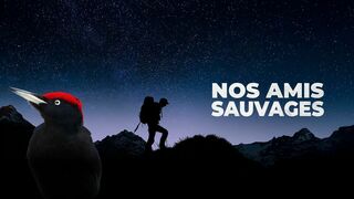 Nos amis sauvages