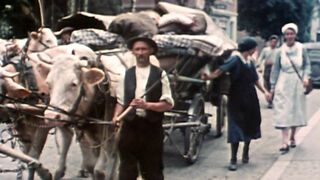 Dans l'intimité des nazis