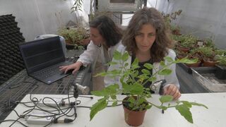 Le génie caché des plantes