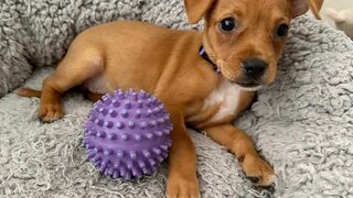 Une famille pour la vie