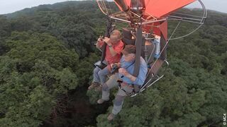 Francis Hallé, une vie en forêt