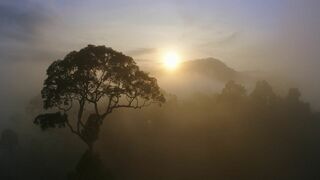 Des mains vertes pour la nature