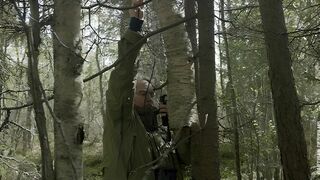 L'archipel des forêts