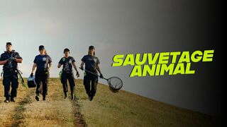 Sauvetage animal