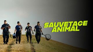 Sauvetage animal