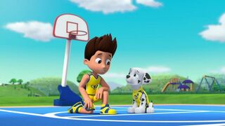 La Pat Patrouille - SAISON 2