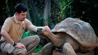 Animaux & Cie : une seconde chance