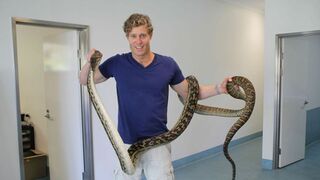 Le vétérinaire de Bondi Beach