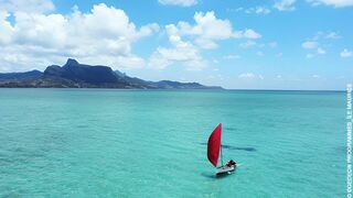 La véritable histoire des pirates