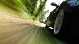 Type E, le fauve éternel