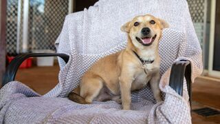 Une famille pour la vie