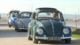 Immortelle Coccinelle