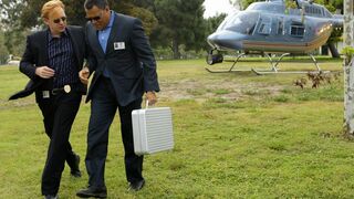 Les experts : Miami - SAISON 8