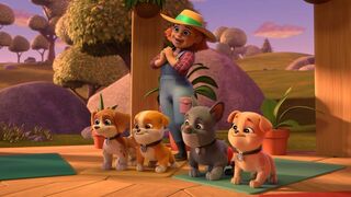 Ruben & Cie - SAISON 2