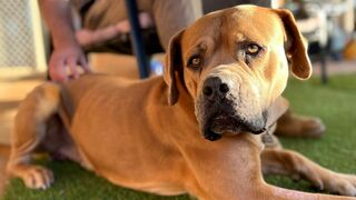 Une famille pour la vie