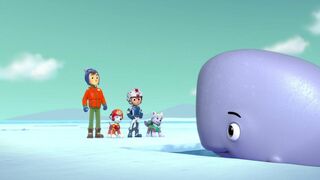 La Pat Patrouille - SAISON 3