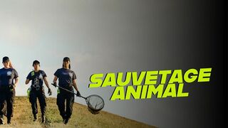 Sauvetage animal