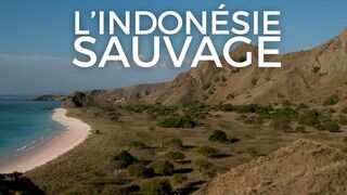 L'Indonésie sauvage